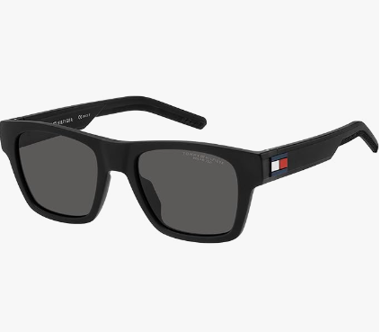 Tommy Hilfiger Men's Th 1975/S Sunglasses