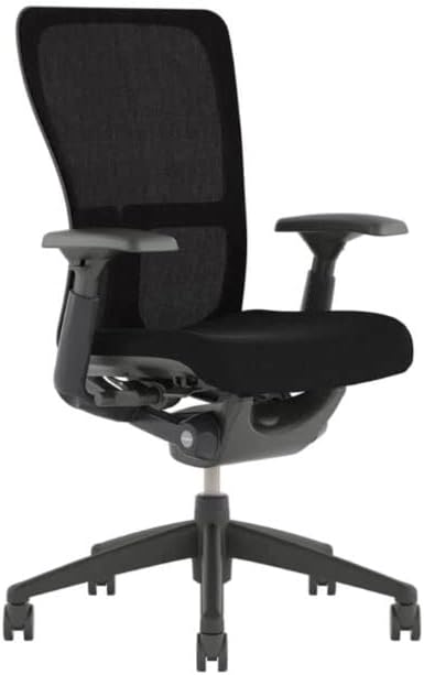 OFFICE LOGIX SHOP Haworth Zody High Performance Office Chair with Ergonomic Adjustments and Flexible Mesh Black Back (Rnwd