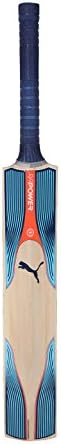 PUMA Seniors English & Kashmir Willow Cricket Bats Evopower 1 KW, Short Handle