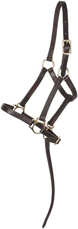 Schneiders Premier Leather Foal Halter for Horses - Weanling | Premium Grade A Leather | Designed for Growing Foals | Adjustable Curb for Customized Fit | Includes Grab Strap | Brass Plated Hardware
