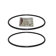 ChShFirLOV SPX1500P Strainer Cover O-Ring for Select Hayward Pumps Fits Power-flo 1500, LX, 1700 Series (2/Pack) + Lubricating Grease