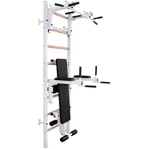 233W Full Body Workout Dip Station, Wallbars with Convertible Steel 6-Grips Pull Up Bar that can Also be Used as a Barbell Holder, Dip Bar with Polyurethane Back Support