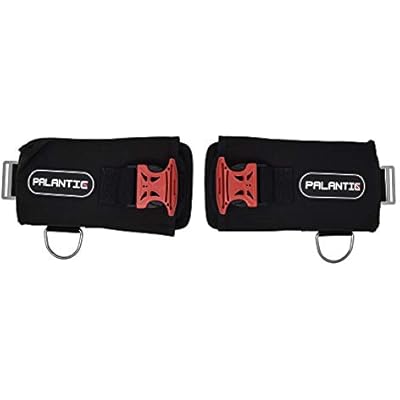Palantic Scuba Tech Universal Diving Weight Pocket System, Heavy Duty Nylon with Quick Release Buckles & D-Rings, Impact Resistant, 10-12 lbs Capacity per Pouch, Durable - Black, Pair