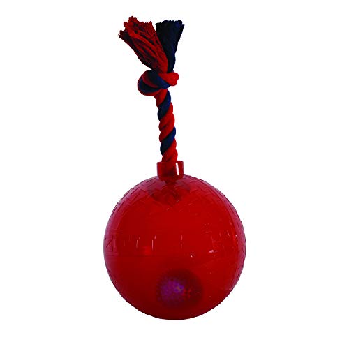 ZEUS Spark LED Dog Toy Light Up and Interactive