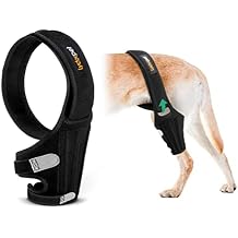 Dog Knee Brace for Torn ACL Hind Leg, Rear Leg Braces for Dogs Luxating Patella, Metal Spring Strong Support and Flexible Joint Care, Easy to Put On and Off Dog Braces for Back Leg Medium