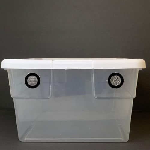 16 Quart Vented Vivarium Terrarium Box 2 Black Vents Isopod Enclosure, Reptile Habitat, Cricket Container, Dubia Roach Bin & Invertebrate Housing