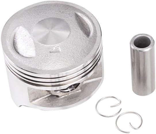 MudhEn 66mm 66.25mm 66.5mm 66.75mm 67mm STD 25 50 75 100 Motorcycle Piston and Ring Kit for Su~zuki SP200 DF200 RV200 DR200SE DR200S Size : 1.0 Piston, MudhEn718