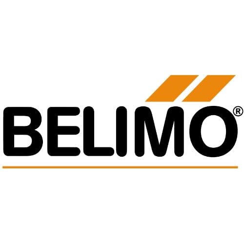 Belimo B225lf24 Us 1in. Brass 600psi 24v 2way Spring Return Valveactuator