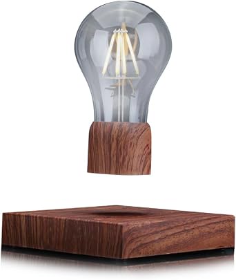 Levitating Light Bulb Floating Lamp for Kids Friends Gifts Home Office Unique Deco