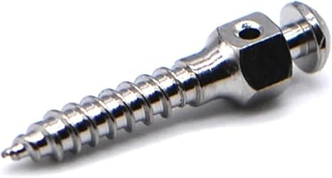 5 PCS Screws Dental Titanium Matching Tools Dental Tools Micro Screws Micro Screws(1.6mm X 10mm)