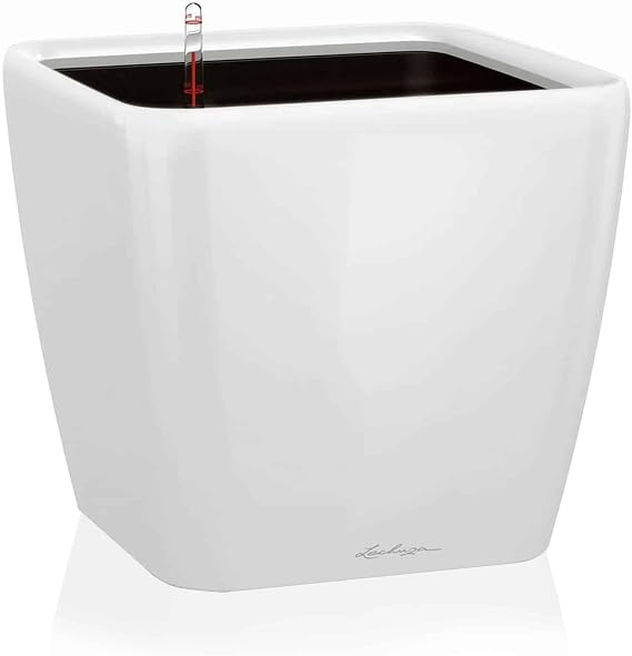 LECHUZA QUADRO Premium LS 35 High Gloss White High-Quality Plastic Includes Watering System Removable Plant Insert for Indoor and Outdoor Use 16160 35 x 35 x 33 cm