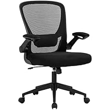 Office Chair Computer Chair Ergonomic Desk Chair Modern Rolling Executive Mesh Chair with Lumbar Support and Adjustable Mid Back Flip-up Armrests(Black)