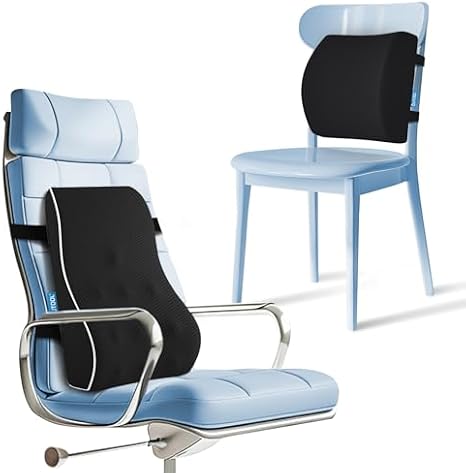 Lumbar Support Pillow and Pillow for Dining Table