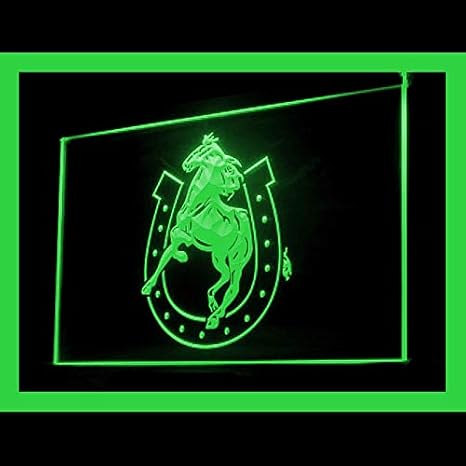 230108 Horse Shoe Lucky Decorative Commemorate Display LED Light Neon Sign