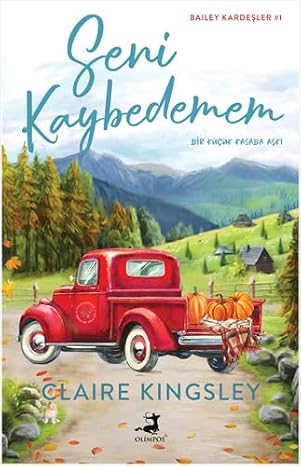 Seni Kaybedemem