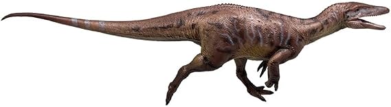 Megaraptor (Duan Jing Zhu) Dinosaur Model