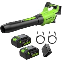 Greenworks 48V (24V x 2) Brushless Axial Leaf Blower (600 CFM / 150 MPH), Powerful for Large Yard, Driveway, Patio and Deck Cleanup, Includes (2) 4.0Ah Batteries and 100W GaN Charger