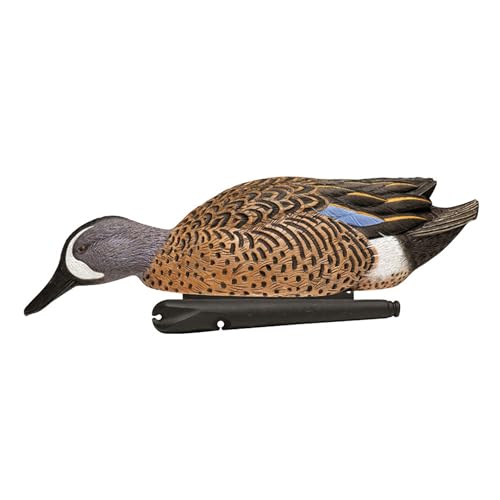 Avian X Topflight Blue-Winged Teal Decoys, Realistic Floating Duck Decoys for Hunting, Weight-Forward Swim Keel