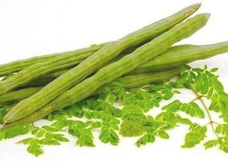 80pcs Green Moringa Vegetable Seeds