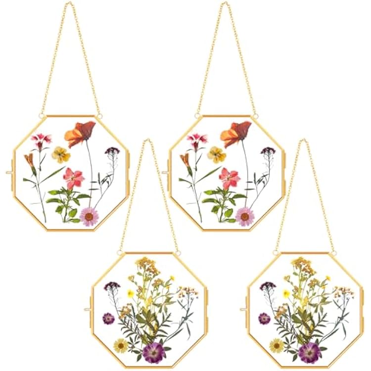 Tioncy 4 Pcs Pressed Flower Frame Brass Hanging Glass 6 x 6 Inch Clear Gold Double Floating Frame with Chain Regular Octagon Picture Display for Pressed Flowers Plant Specimen Vintage DIY Wall Artwork