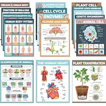 16Pcs Boho Science Posters for Classroom Middle School Supplies Biology Poster Classroom Decoration Life Science Posters Charts for Teachers High School Education Bulletin Wall Decor