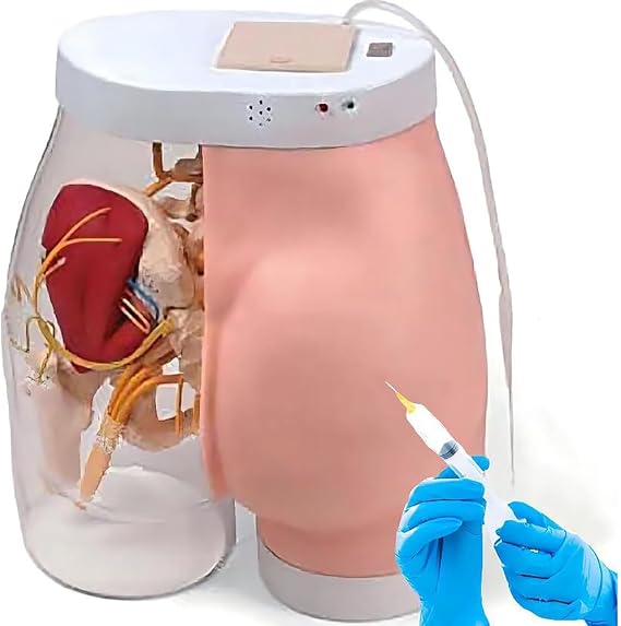 Buttock Injection Model, Electronic Hip Injection Training Simulator, Half-Transparent Buttock Muscle Injection Practice Model