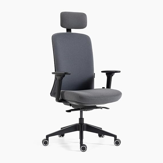 boulies Aura Ergonomic Office Chair, High Back Desk Chair with Adjustable Lumbar Support, Computer Executive Chair, Swivel Chair with Slide Seat&Tilt Lock for Home Office Study (Charcoal Grey, Fabric)