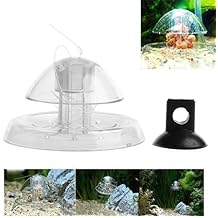 Clear Snail Trap Aquarium Fish for Planarian Catch Environment Snail Trap for Aquarium Fish for S Plastic