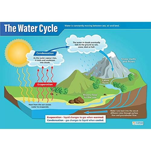Daydream Education The Water Cycle Science Poster - EXTRA LARGE 33 x 23.5 - Laminated - STEM Middle & High School Classroom Decoration - Wall Charts