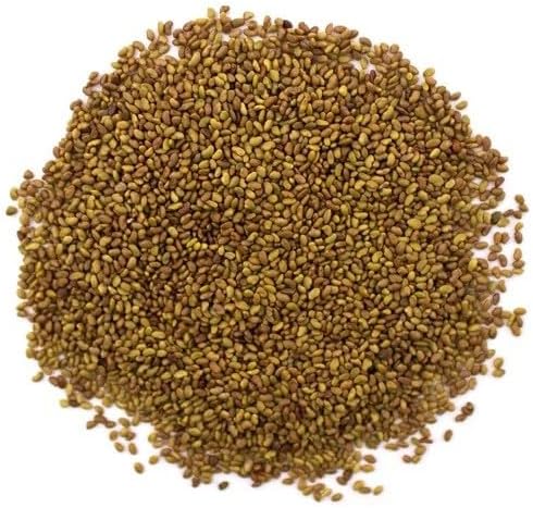 Alfalfa Sprouting Seeds - Organic 100g Sprouts microgreens Micro Greens high-Germination Non-GMO