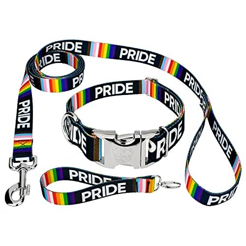 Country Brook Petz Premium Pride Dog Collar & Leash Set - Luxury and Durability - Rainbow Flag Colors for LGBTQIA Support, 1 Inch, Medium