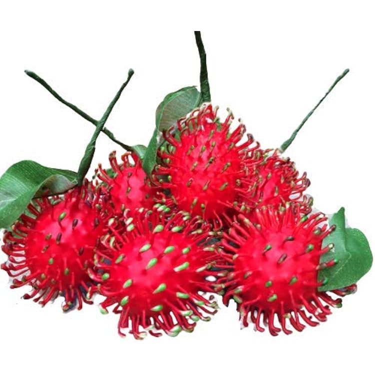 Artificial Rambutan Fake Fruit  Pack of 6