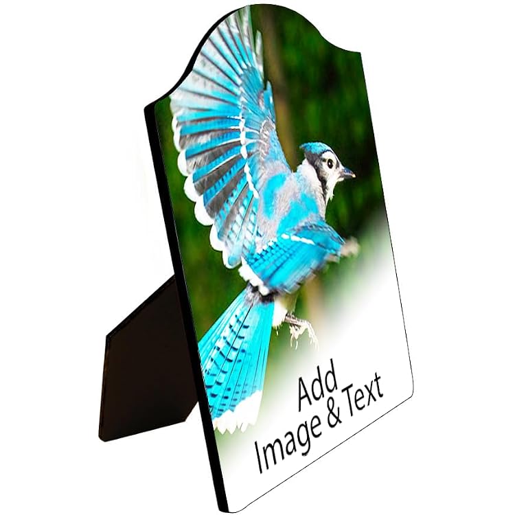 Customized ChromaLuxe Arch Top Photo Panel with Easel, Personalized Text and Image Upload Novelty Gift, Personalize With Different Design And Images, Custom Gift, Wall Decor