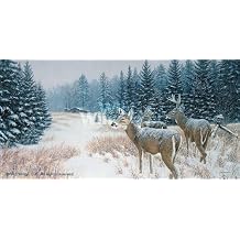 Wild Wings Reading The Signs 15" X 30" Art Collection by Artist Jim Kasper