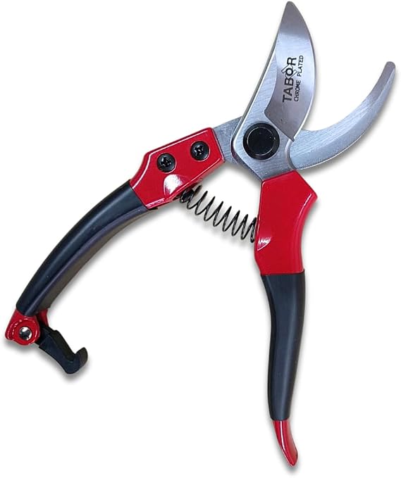 TABOR TOOLS S821A Bypass Pruning Shears for Small to Medium Hands, Chrome Plated Blades with 3/4 Inch Cut Capacity, Professional Hand Pruner, Garden Secateurs & Clippers with Safety Lock