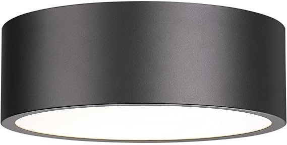 Z-Lite 3 Light Flush Mount 2302F3-BRZ