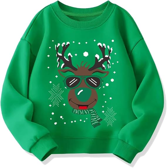 Kids Christmas Sweatshirt Boys Girls Ugly Xmas Santa Dinosaur Graphic Shirt Toddler Pullover Long Sleeve Outfit Tops
