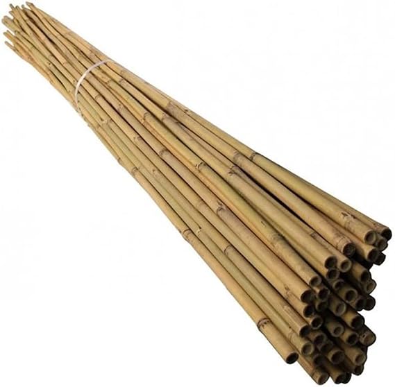 120 Cm Natural Bamboo Plant Support Rod 10 Pieces 5-10 mm
