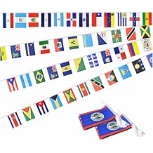 2 Pack 45 Latin American Countries Flags Banner Dercoations for Classroom Latino Heritage Hispanic Month 100Feet 90flags