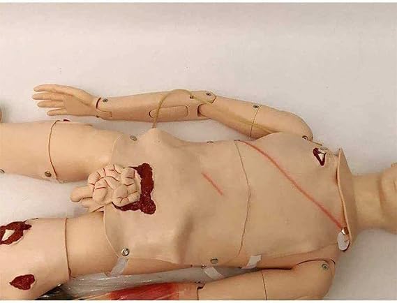 Demonstration Patient Care Simulator, 170CM PVC Nursing Manikin, Medical Anatomical Human Model, Full Body Mannequin with Vital Organs(Male)