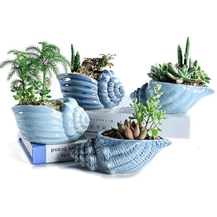 Bonsai Pots 5.5 Inch Blue Conch Ocean Series Ceramic Base Serial Set Succulent Plant Pot Cactus Plant Pot Flower Pot Container Planter With Drainage Hole Gift Idea 4 In SetPlants Not Included