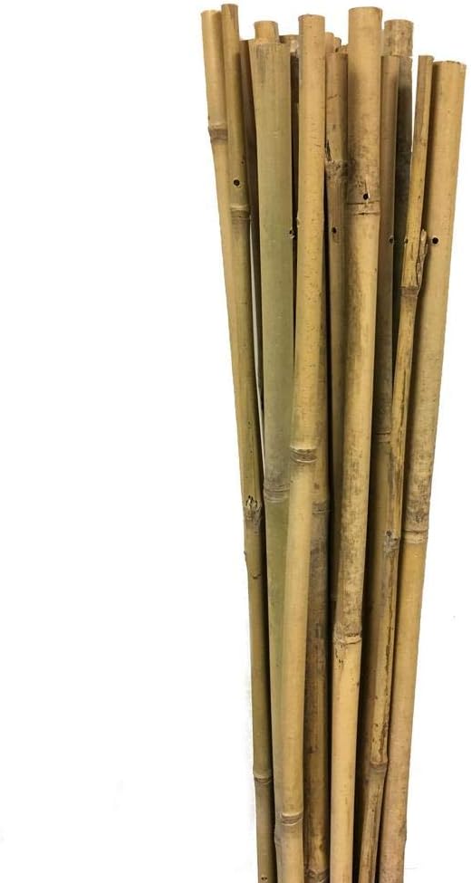 Gardener 163702 Bamboo Support Bar 10 Pack - 6-8 Mm X 60 Cm