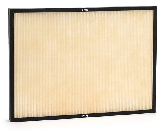 BioGS Genuine HEPA Filter Replacement for SPA-421A & SPA-582A | Genuine HEPA Filter Replacement Compatible with SPA-421A and SPA-582A Air Purifiers