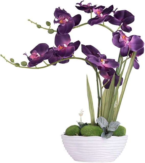Large Silk Potted Orchid Arrangement in Oval Ribbed Ceramic Pot Dark Purple