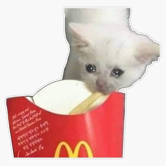 MAGNET Crying Cat Eating French Fry - Crying Cat Meme Twitter Meme Magnet Bumper Sticker Car Magnet Flexible Reuseable Magnetic Vinyl 5"