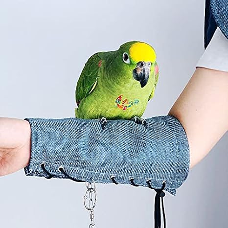 ISMARTEN Parrot Anti-Scratch Arm Protector, Multi-Functional Bird Diaper Flight Suits Pee Pads Diaper Poop Shawl for Small Medium Cockatiel Parakeet Macaw Lovebirds Finches (Arm Protector-Blue)