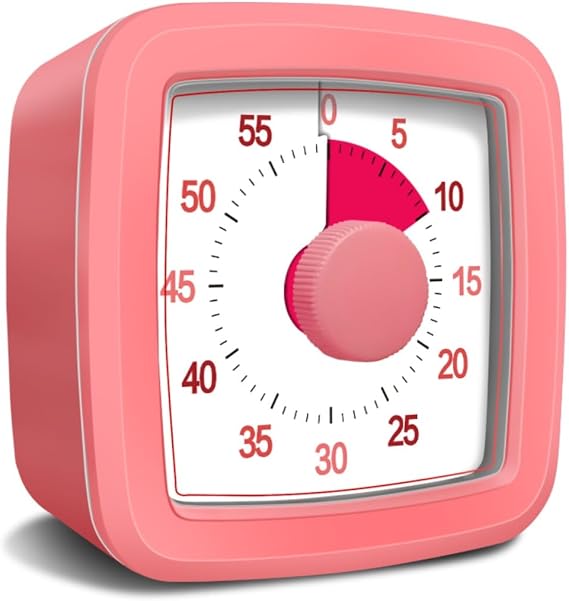 60 Minute Visual Timer for Kids Adults, 5.5 Inch Large Visual Countdown Timer for Classroom Desk, Kitchen Timer for Meeting, Working, Home