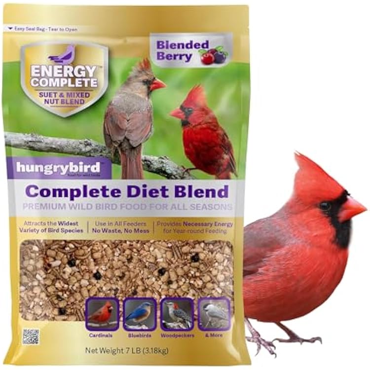 Energy Complete Diet, 7lb - All-Season Blended Berry Suet & Mixed Nut Blend for Wild Birds