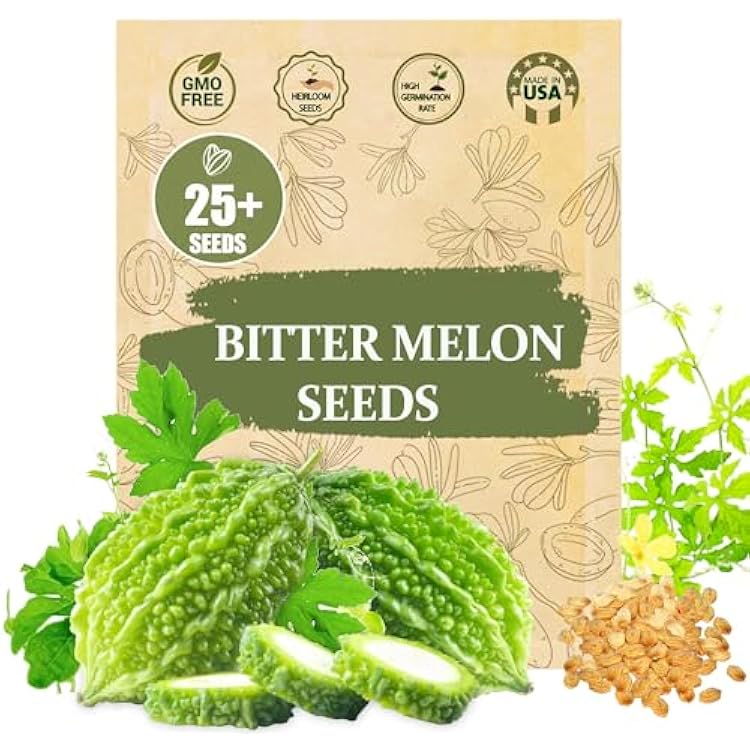 Premium Bitter Gourd Seeds for Planting 25 Non-GMO Heirloom Seeds - High-Yielding, Extra Long, Authentic Flavor