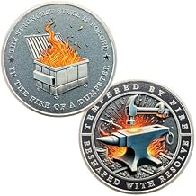 Dumpster Fire Challenge Coin - Funny Desk Accessories for Work - Emotional Support Pocket Token Gift - Hilarious Coin Office Gift - Employee Appreciation Medal (silver-01)